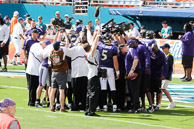 Ravens_01-04-2009_251Dolphins.jpg