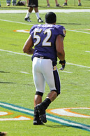 Ravens_01-04-2009_257Dolphins.jpg