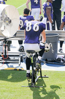 Ravens vs Dolphins Playoff Game