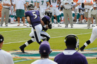 Ravens_01-04-2009_288Dolphins.jpg