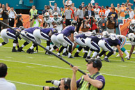 Ravens_01-04-2009_295Dolphins.jpg
