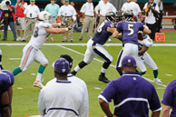 Ravens_01-04-2009_305Dolphins.jpg
