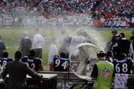 Ravens vs Dolphins Playoff Game