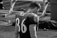 Ravens vs Dolphins Playoff Game