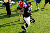 Ravens vs Dolphins Playoff Game