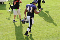 Ravens_01-04-2009_483Dolphins.jpg