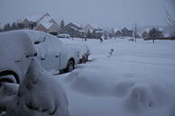 Christmas-2009--20091219-367.jpg