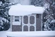 Christmas-2009--20091219-376.jpg