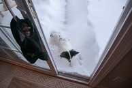 Christmas-2009--20091219-384.jpg