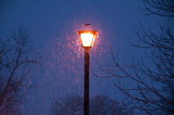 Christmas-2009--20091219-395.jpg