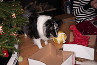2009 Christmas