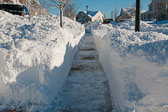 2010 Blizzrd