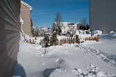 2010 Blizzrd