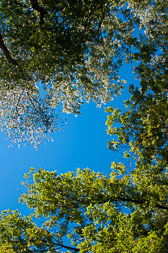 Labor_Day_River_11992_September_05_2010.jpg