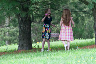 2011 Photos