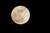 Moon-Over-Walkersville-5255.jpg