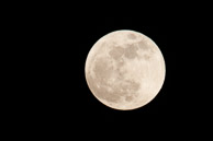 Moon-Over-Walkersville-5260.jpg