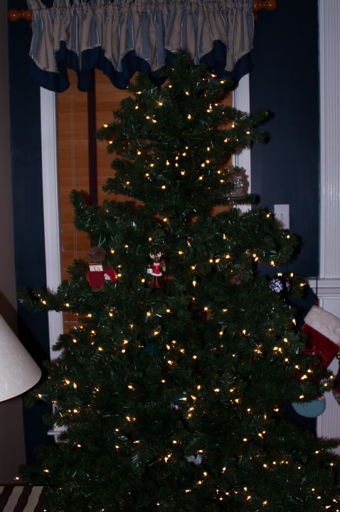 2012-Christmas-December-07,-2012-03.jpg