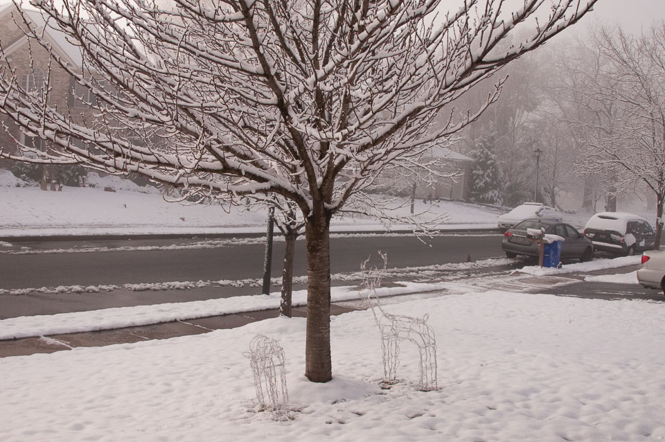 2012-Christmas-December-25,-2012-66.jpg
