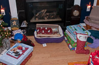 2012-Christmas-December-25,-2012-166.jpg