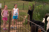 Alpaca-Barn-20130901-069.jpg