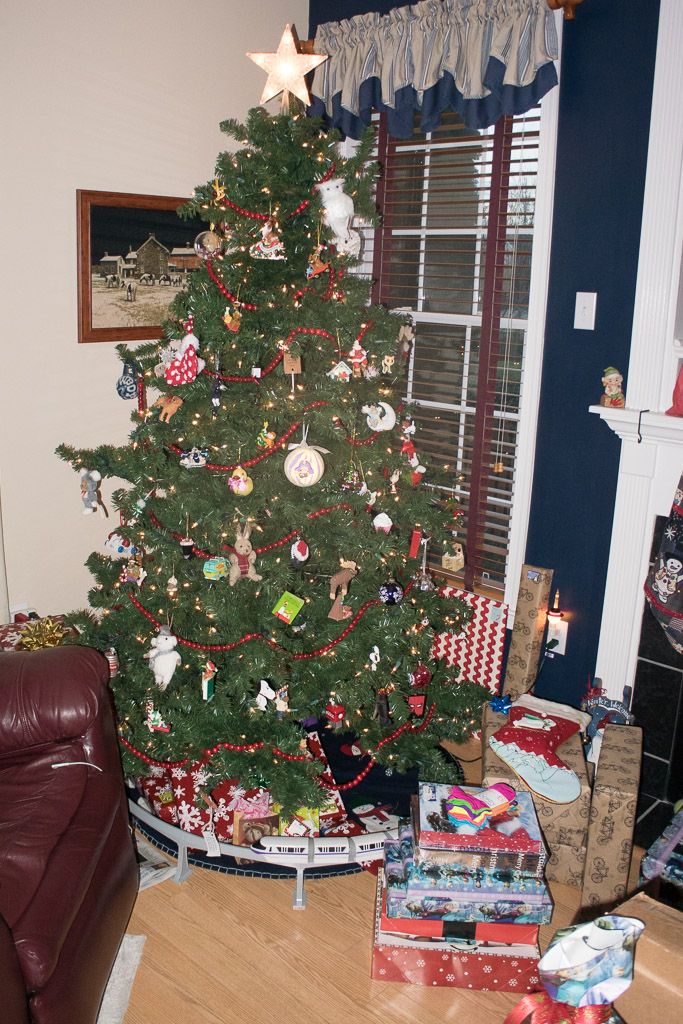2014-Christmas-47-December-25,-2014.jpg