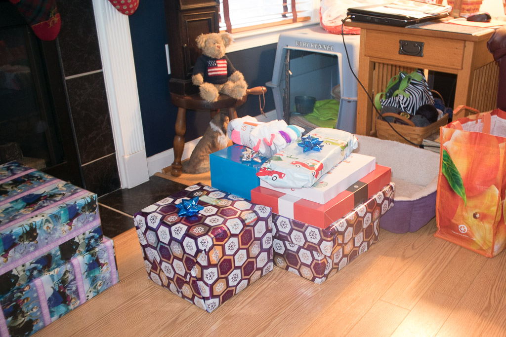 2014-Christmas-51-December-25,-2014.jpg