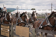 2014 Great Frederick Fair