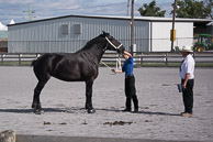 Frederick-Fair-September-14,-2014-275.jpg