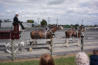 Frederick-Fair-September-14,-2014-322.jpg