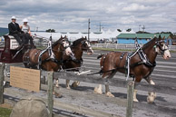 2014 Great Frederick Fair