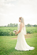 2014 Muffley Wedding