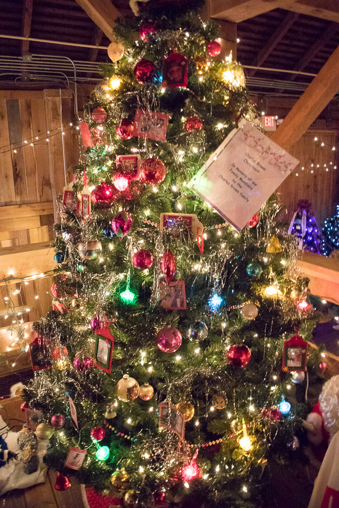 2014-Springfield-Barn-December-06,-2014-067.jpg
