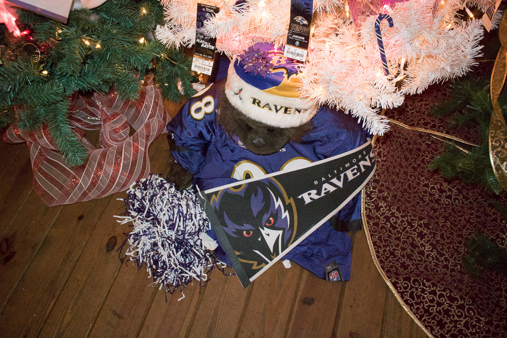 2014-Springfield-Barn-December-06,-2014-099.jpg