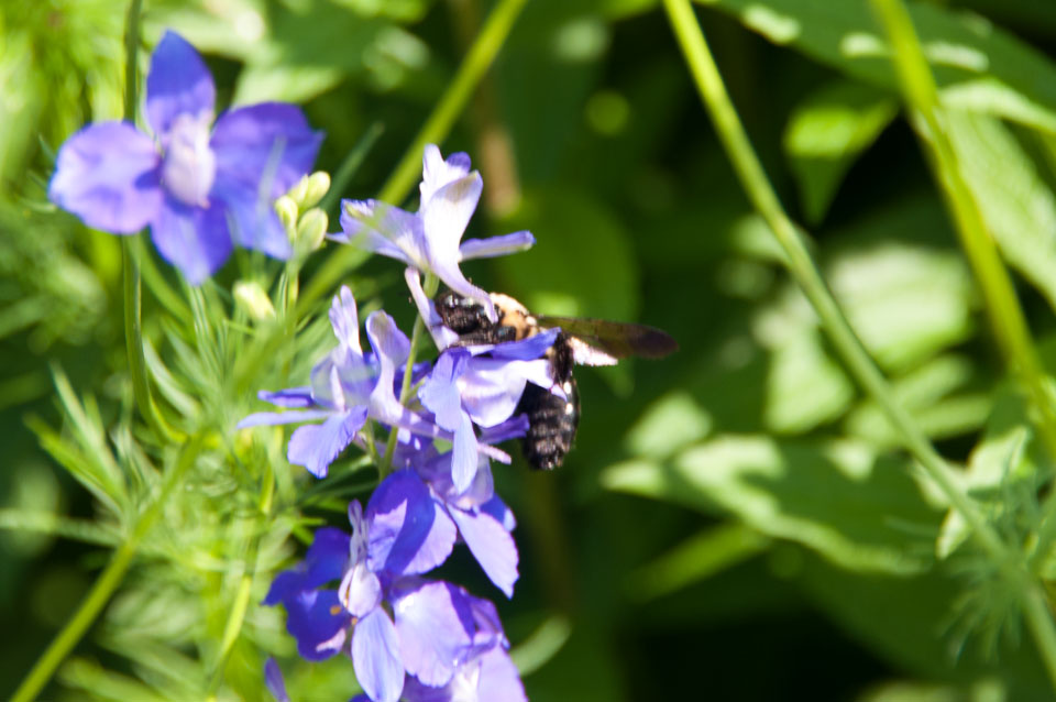 2014_2014_06_05-141-Vacation.jpg