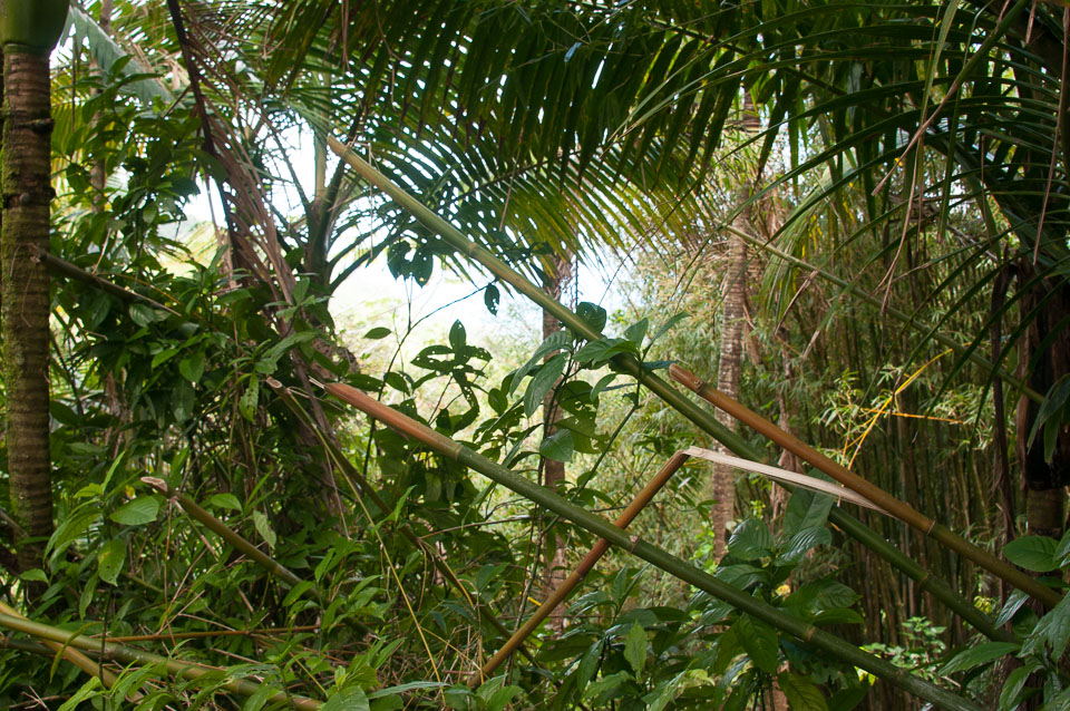 Puerto-Rico-20140313-254.jpg