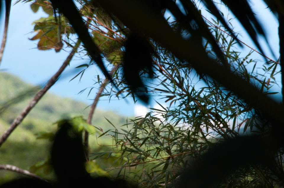 Puerto-Rico-20140313-259.jpg