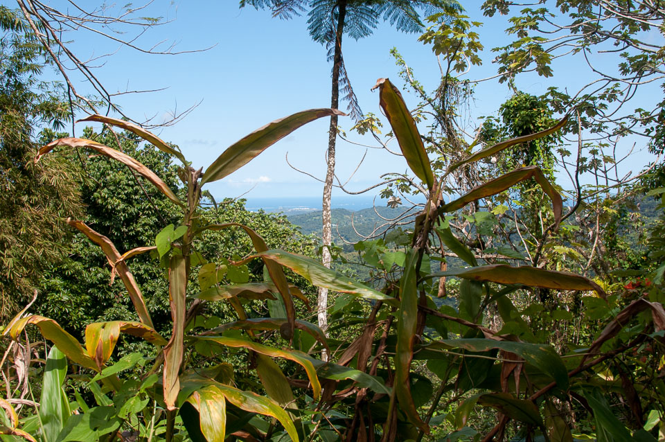 Puerto-Rico-20140313-261.jpg