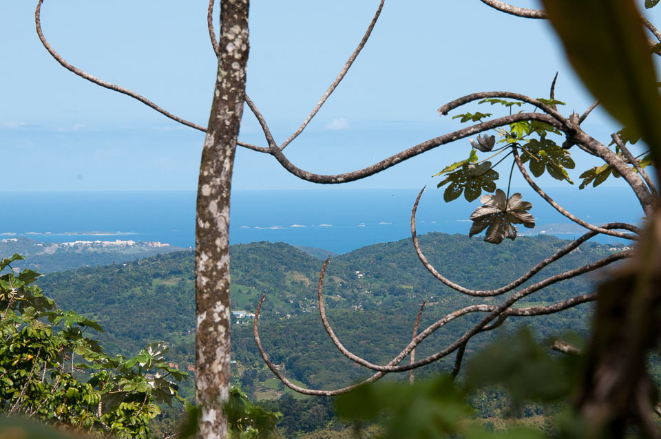 Puerto-Rico-20140313-262.jpg