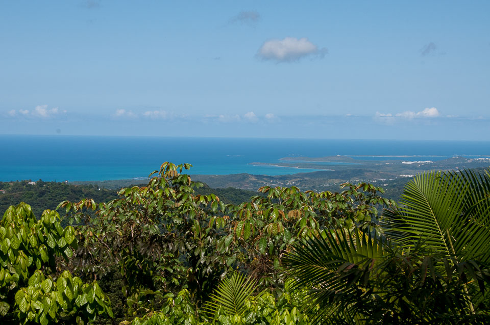 Puerto-Rico-20140313-265.jpg