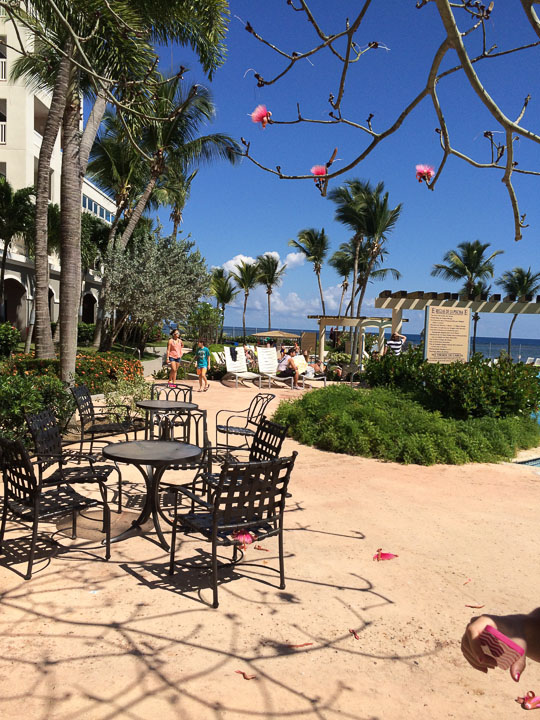 Puerto-Rico-20140315-333.jpg