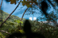 Puerto-Rico-20140313-257.jpg