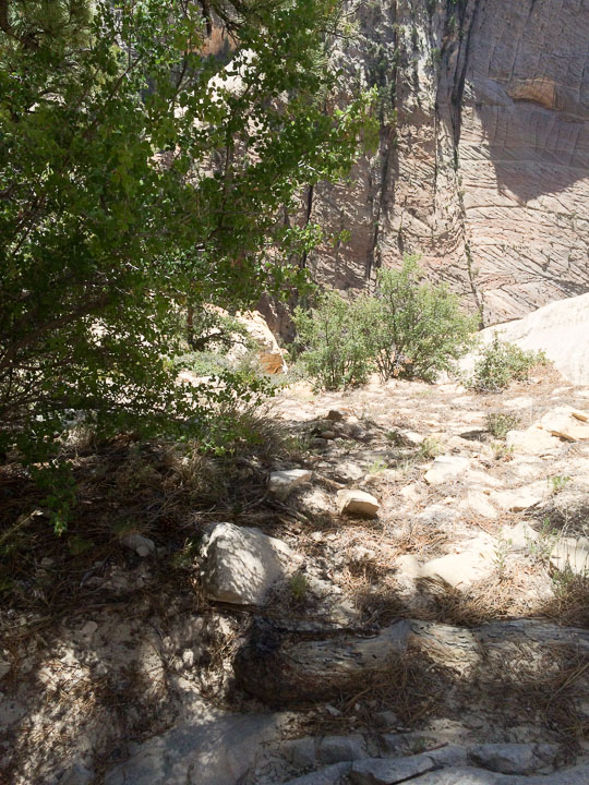 2014_2014_06_11-101-Vegas-Zion.jpg