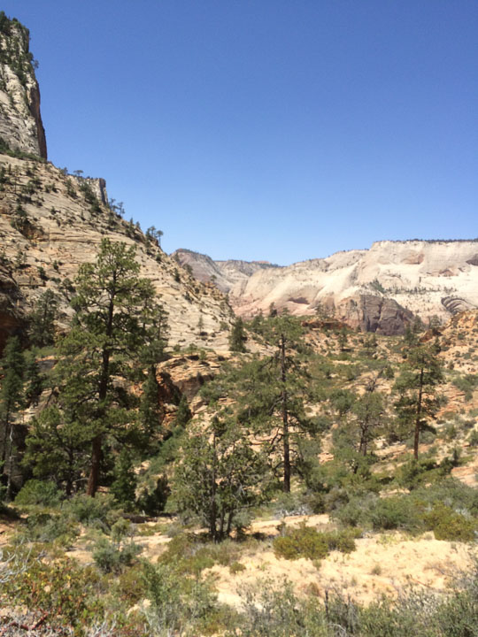 2014_2014_06_11-113-Vegas-Zion.jpg