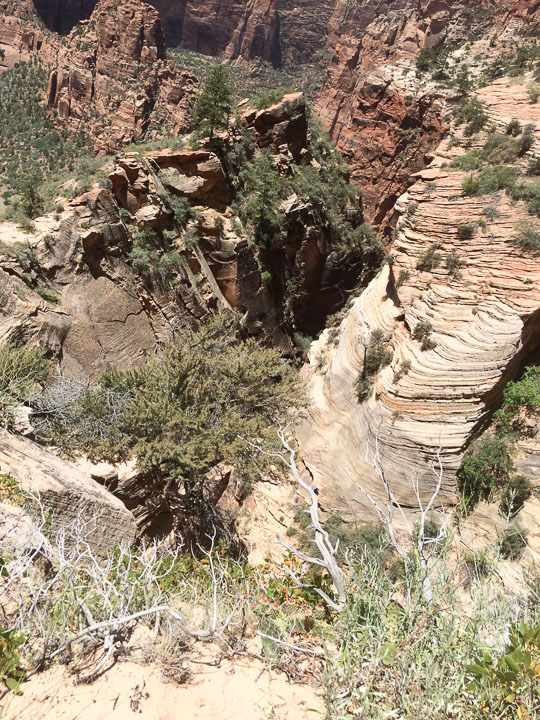 2014_2014_06_11-139-Vegas-Zion.jpg
