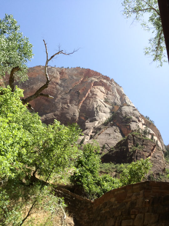 2014_2014_06_11-152-Vegas-Zion.jpg