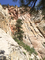 2014_2014_06_11-104-Vegas-Zion.jpg