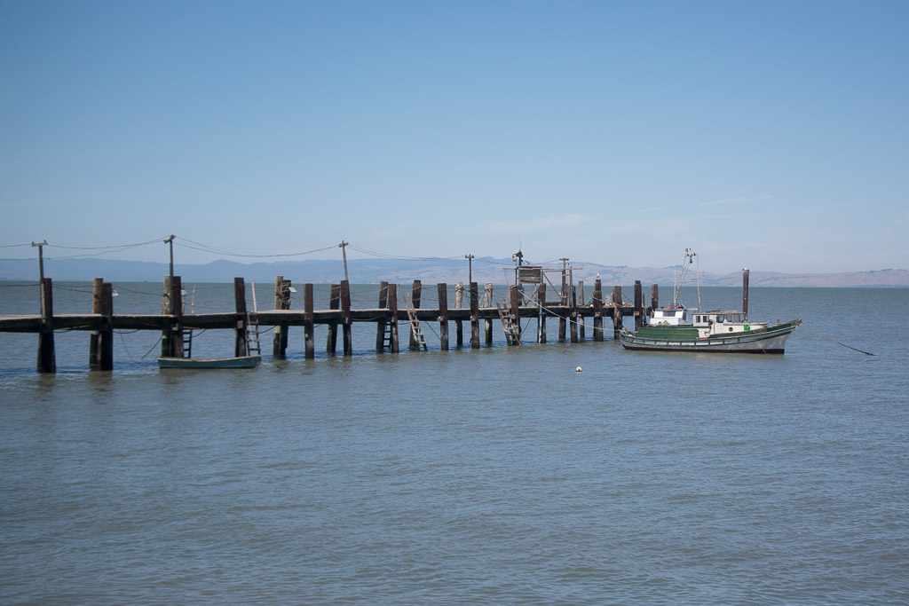 2015-Bay-Area-June-29,-2015-305.jpg