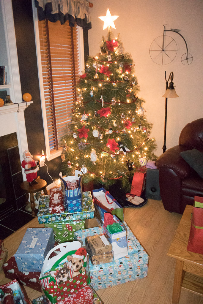 2015-Christmas-December-25,-2015-010.jpg