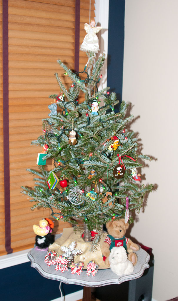 Christmas-2016-December-18,-2016-22.jpg
